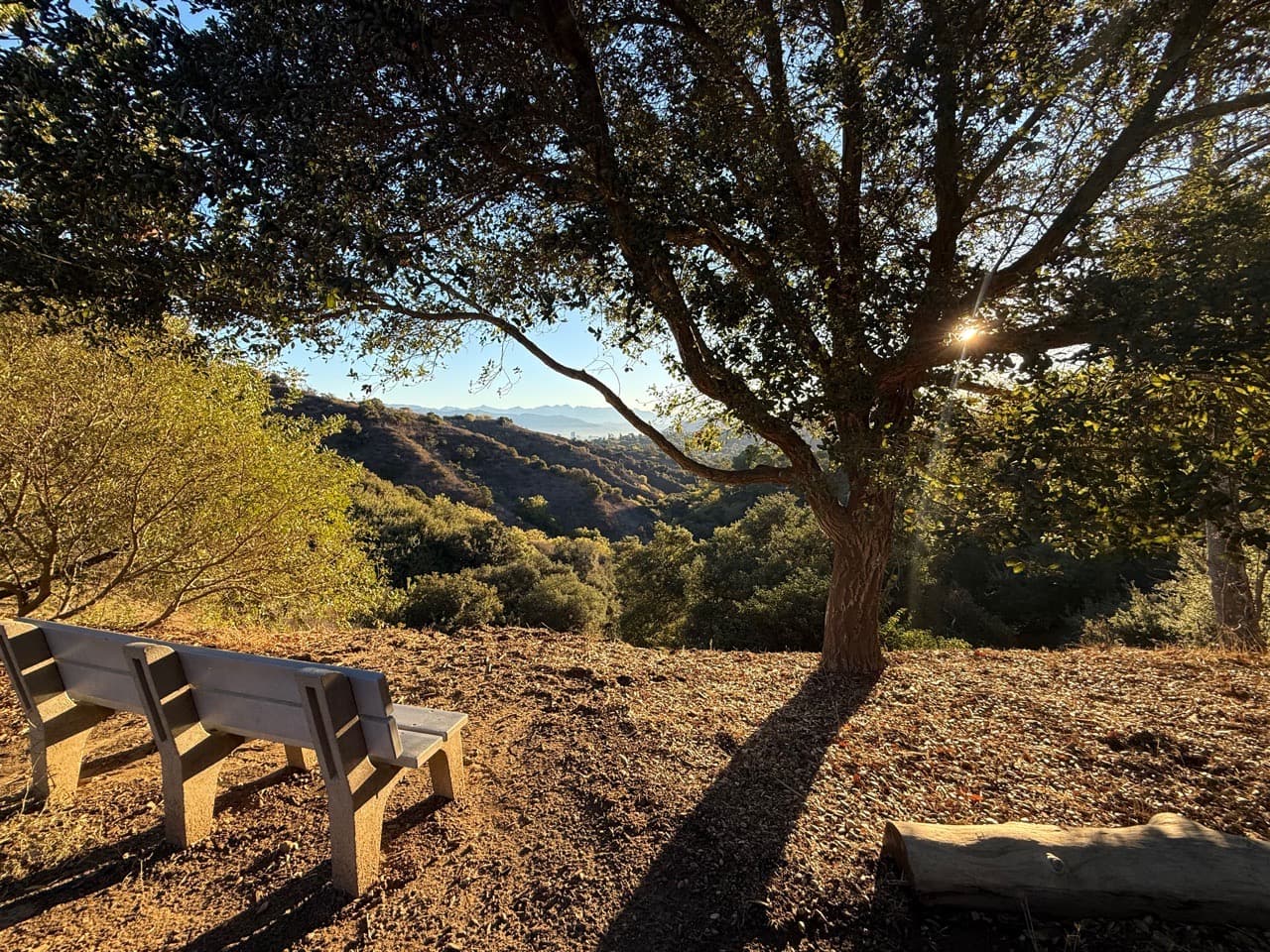 Canyon Morning - Image