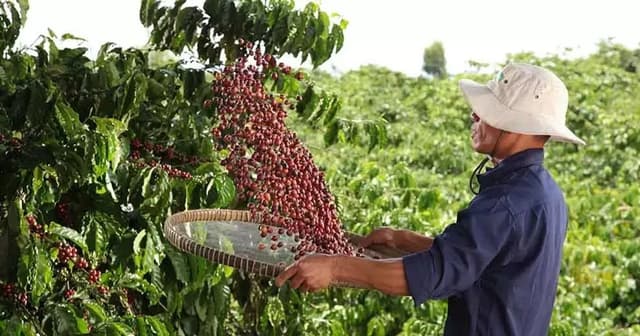 Davos 26: Who is Aiding Nestlé in Regenerative Agriculture? | Sustainability Magazine - Featured Image