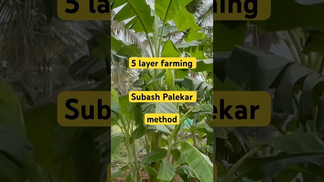 SubashPalekar 5 layer model - Featured Image