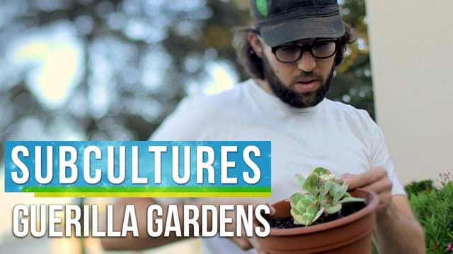 Guerrilla Gardening in Los Angeles | SubCultures - Featured Image