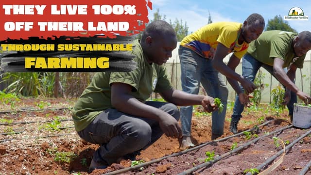 Inside Kenya’s Most Self-Sufficient Farm: Solar, Biogas & Organic Farming - Featured Image