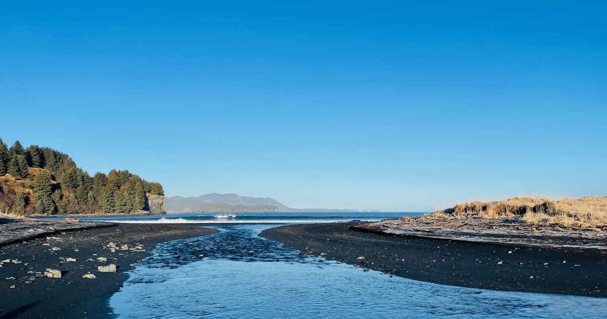 Forms of Accelerated Learning - Featured Image