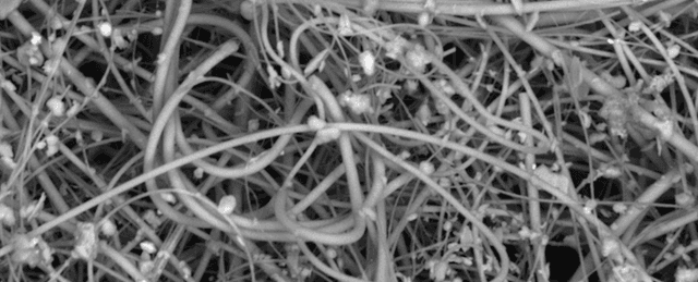 Study Reveals The Shocking Amount of Plastic We Breathe in Every Day - Featured Image