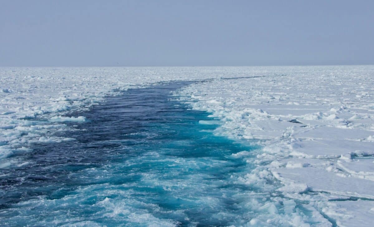 Scientists Stunned by Unexpected Oasis Found 2.5 Miles Under the Arctic Ocean - Featured Image