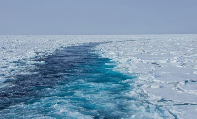 Scientists Stunned by Unexpected Oasis Found 2.5 Miles Under the Arctic Ocean - Featured Image