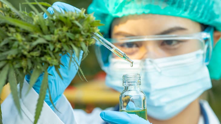 NIH Database Now Includes Over 53,000 Cannabis Studies - Featured Image