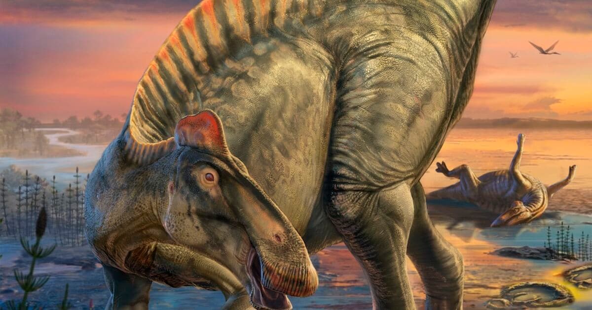 Dinosaur ‘mummies’ give us the first confident view of their appearance - Featured Image