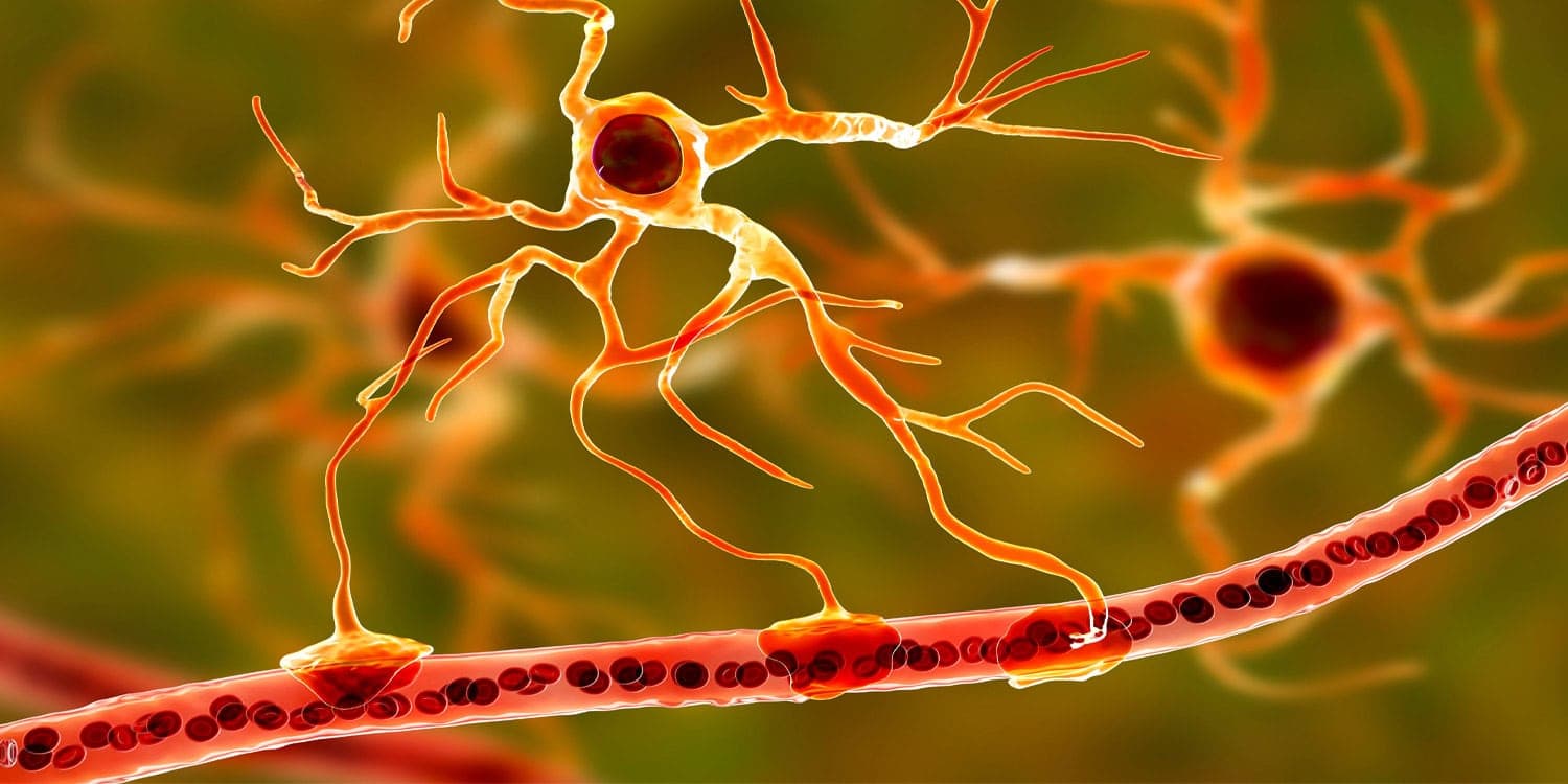 Chronic exposure to microplastics impairs blood-brain barrier, induces oxidative stress, and damages neurons, finds a new study on rats - Featured Image