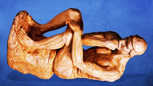 Meet the 2025 Ig Nobel Prize winners - Featured Image