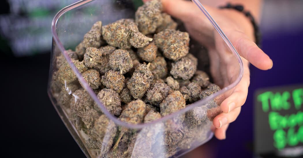 Pregnant Women Should Not Use Cannabis, New Medical Guidelines Say - Featured Image