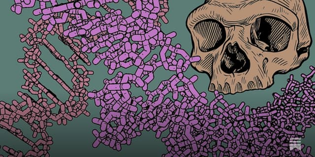 Top 10 discoveries about ancient people from DNA in 2025 - Featured Image