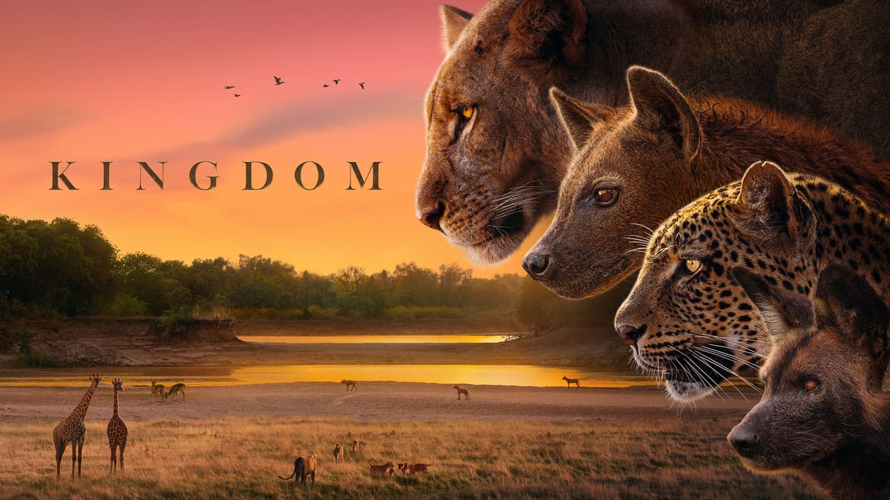 Kingdom (2026) - BBC America & AMC+ Series - Where To Watch - Featured Image