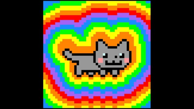 cat - Featured Image