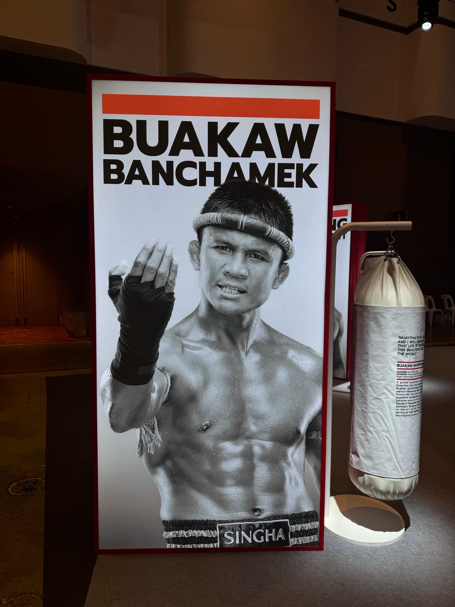 The Goat of Muay Thai - Image