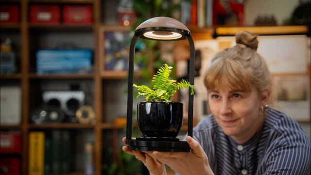 This plant will die if I'm on my phone too much - Featured Image