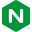 nginx.org - favicon
