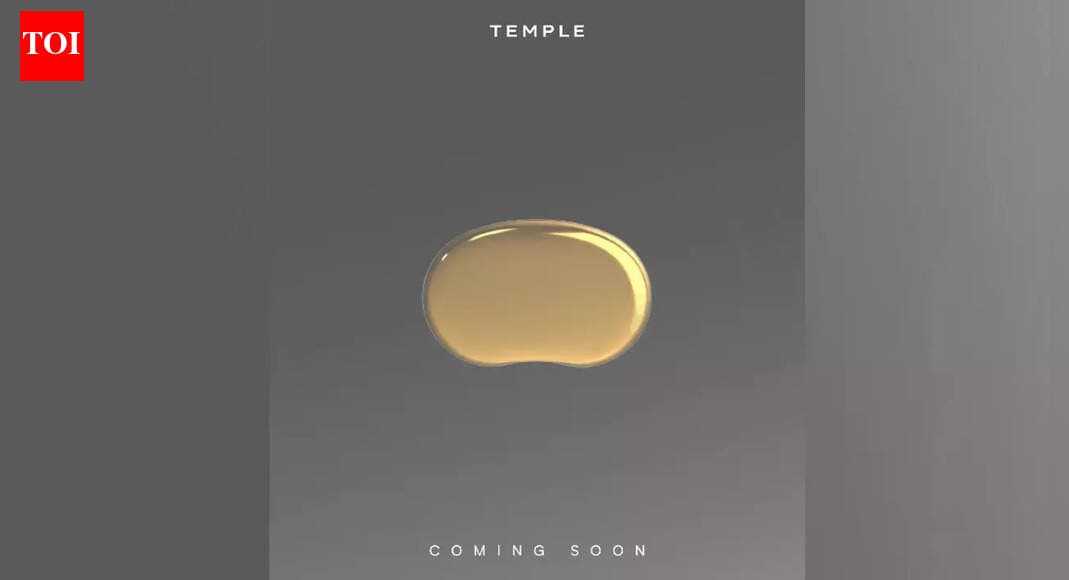 Zomato CEO Deepinder Goyal teases ‘Temple’ device, calls it ‘world class’ - The Times of India - Featured Image