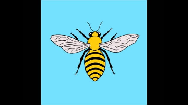 Help Stamp Out Loneliness - Record Shop - Featured Image