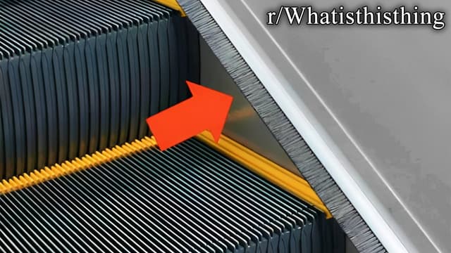 r/Whatisthisthing | why does it exist?? - Featured Image