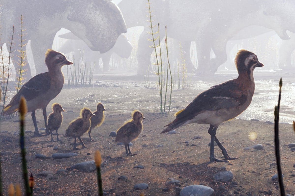 How Birds Began Migrating to the Arctic to Breed | Scientific American - Featured Image