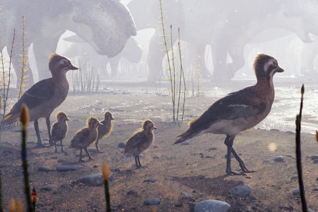 How Birds Began Migrating to the Arctic to Breed | Scientific American - Featured Image