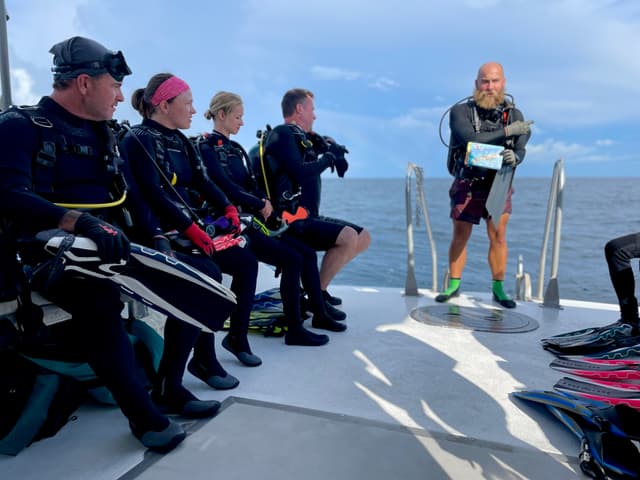 Daily Dive Charters on the dive boats Steel Slinger & Narcosis in Panama City Be - Featured Image